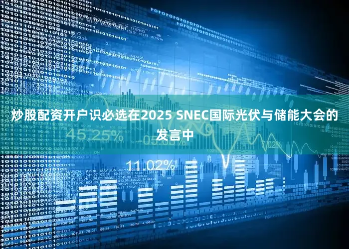 炒股配资开户识必选在2025 SNEC国际光伏与储能大会的发言中